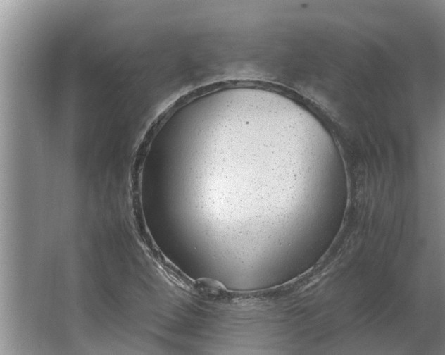 X0000062881264200601271612