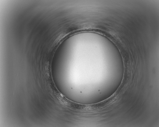 X0000062881265200601271612