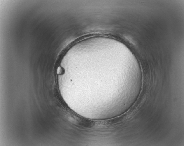 X0000062881267200601271612