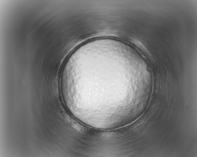 X0000062881268200601271612