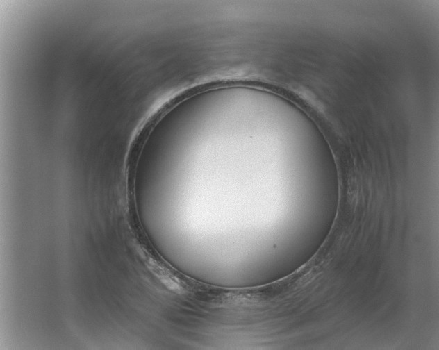 X0000062881270200601271612