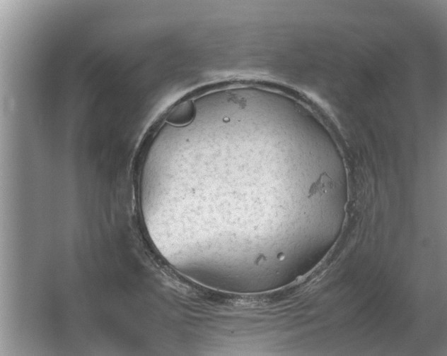 X0000062881271200601271612