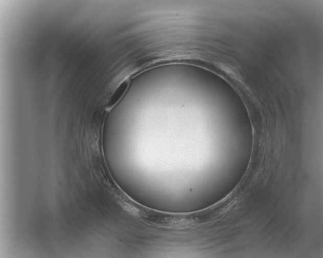 X0000062881273200601271612