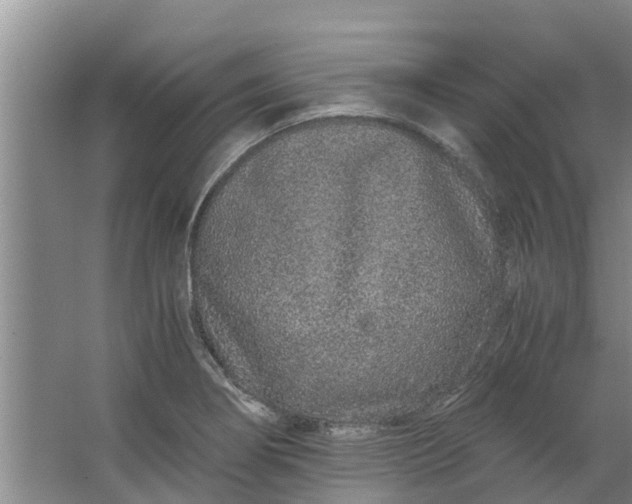 X0000062881274200601271612