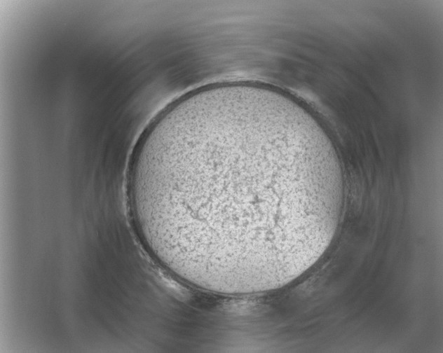 X0000062881278200601271612