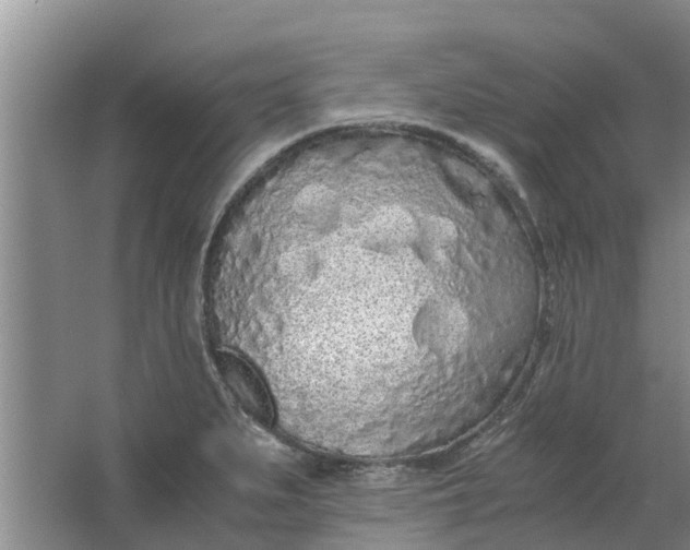 X0000062881279200601271612