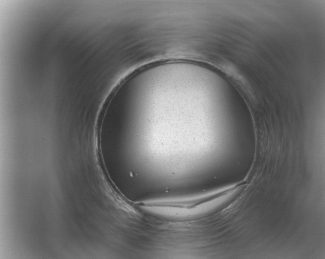 X0000062881280200601271612