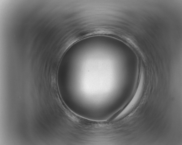 X0000062881281200601271612