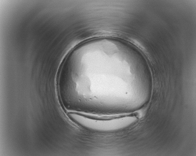 X0000062881283200601271612