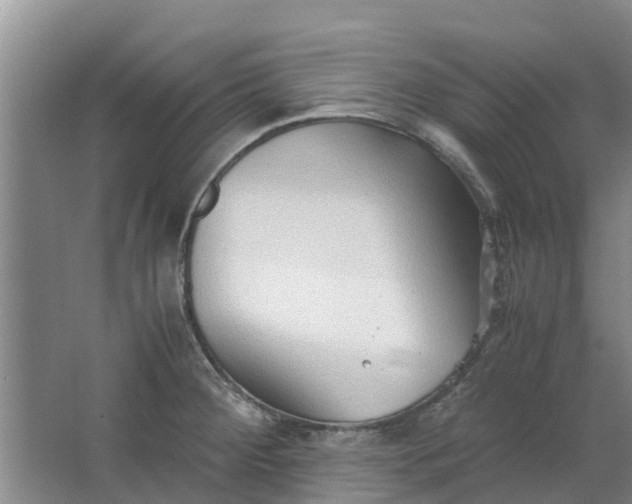 X0000062881284200601271612