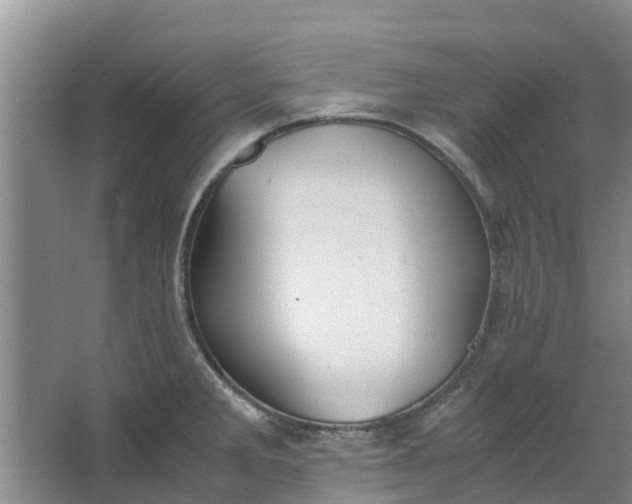 X0000062881285200601271612