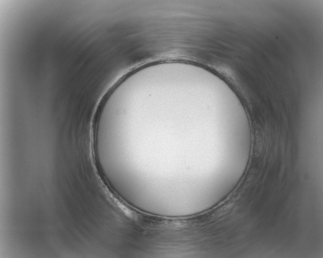 X0000062881286200601271612