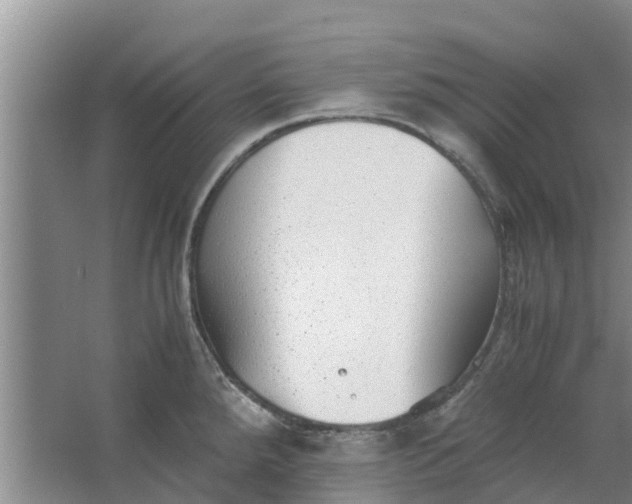 X0000062881288200601271612