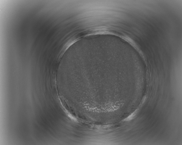 X0000062881289200601271612