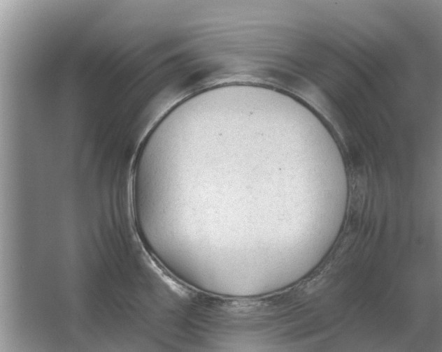 X0000062881290200601271612