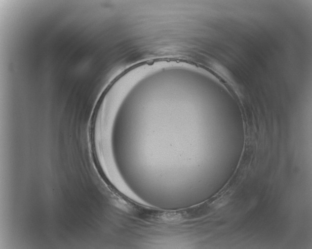 X0000062881291200601271612