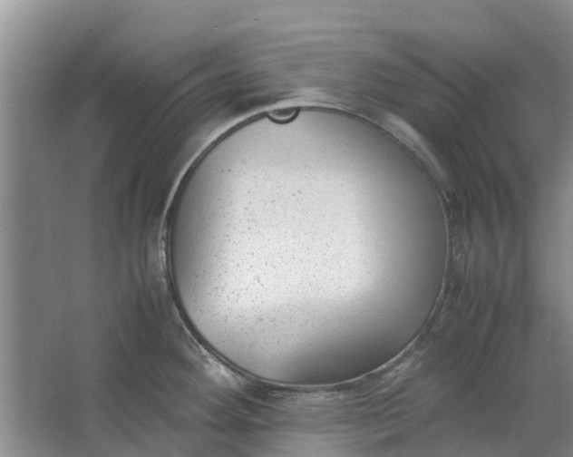 X0000062881292200601271612