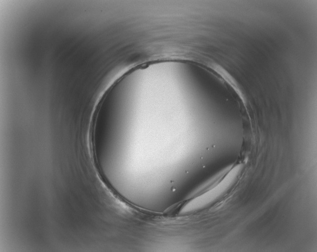 X0000062881293200601271612