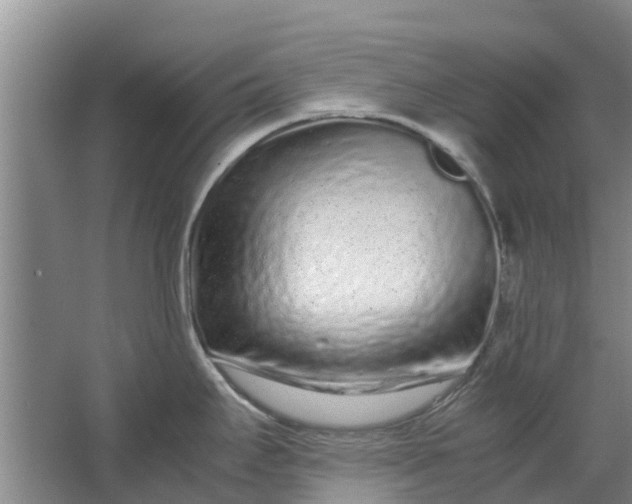 X0000062881295200601271612