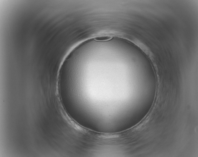 X0000062881296200601271612