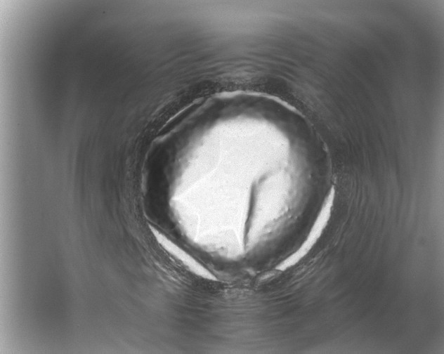 X0000062881297200601271611