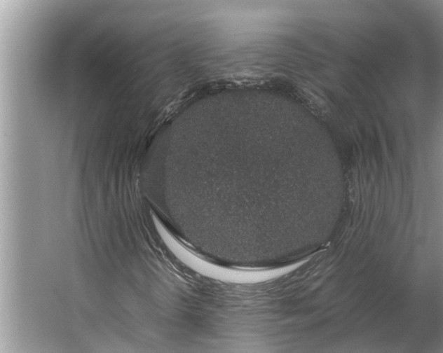 X0000062881298200601271611