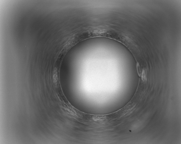 X0000062881299200601271611