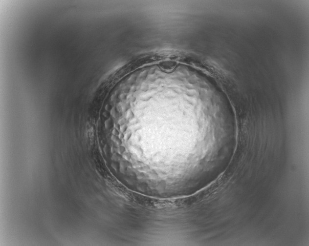 X0000062881302200601271611