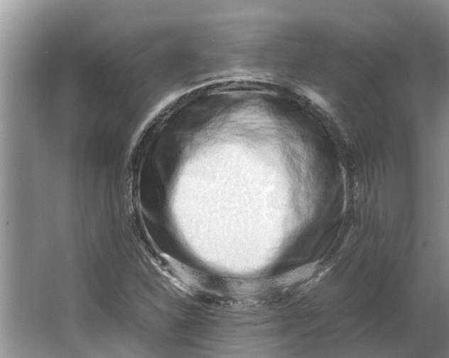 X0000062881310200601271611