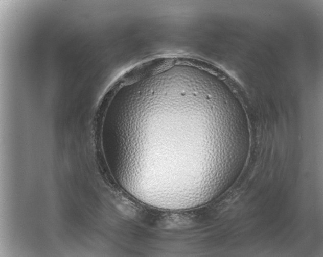 X0000062881311200601271611