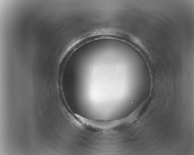 X0000062881312200601271611