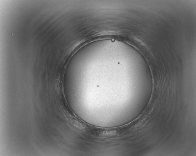 X0000062881313200601271611