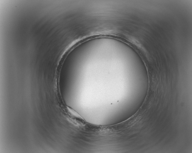 X0000062881316200601271611