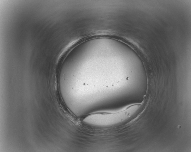 X0000062881317200601271611