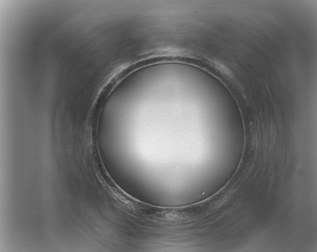 X0000062881318200601271611