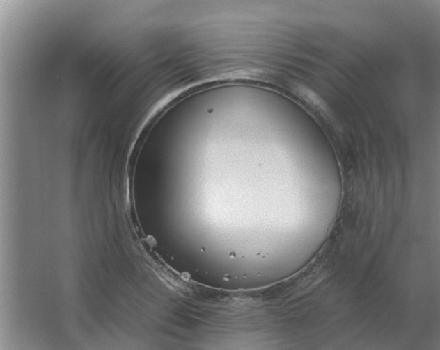 X0000062881324200601271611