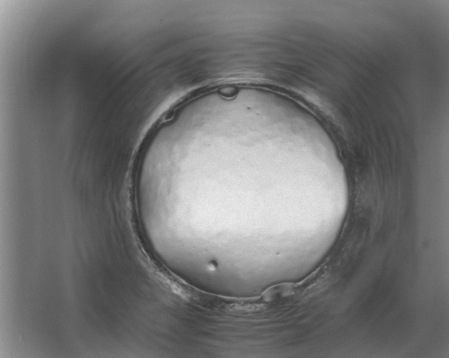 X0000062881325200601271611