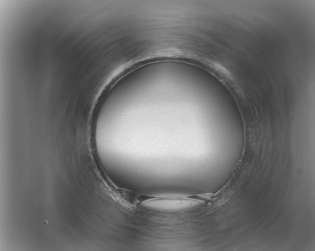 X0000062881326200601271611