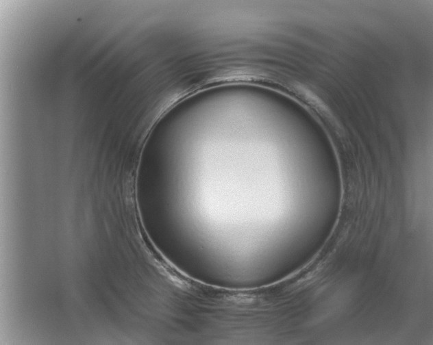 X0000062881329200601271612