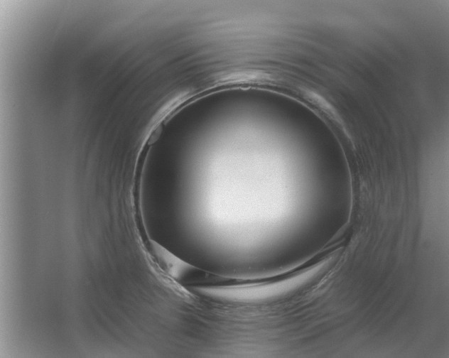 X0000062881330200601271612