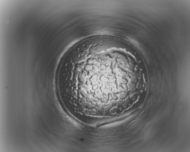 X0000062881331200601271612