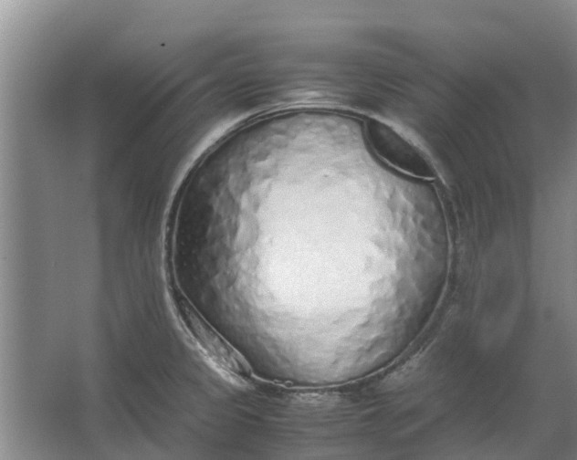 X0000062881333200601271612