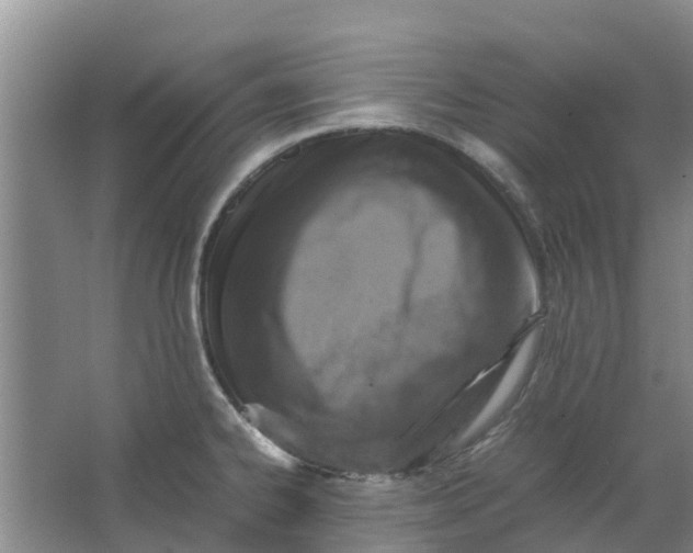 X0000062881334200601271612