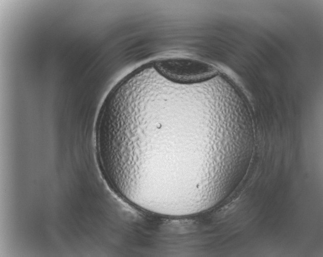 X0000062881335200601271612