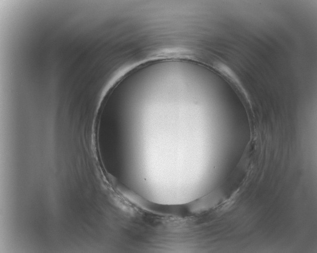 X0000062881336200601271612