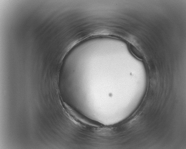 X0000062881337200601271612