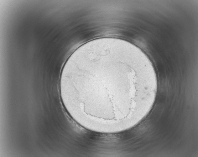 X0000062881338200601271612