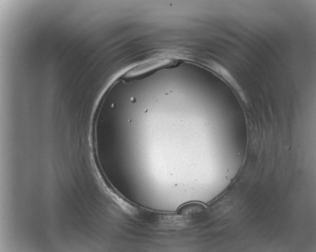 X0000062881339200601271612