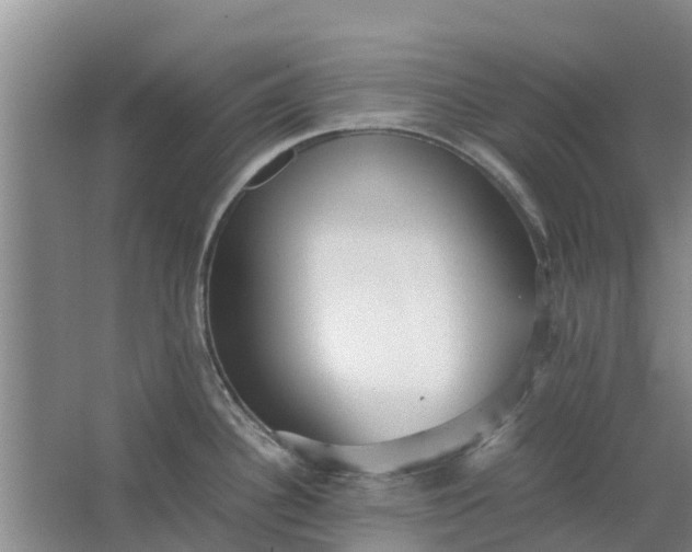 X0000062881340200601271612