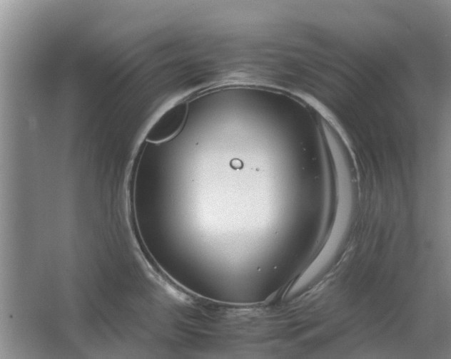 X0000062881341200601271612